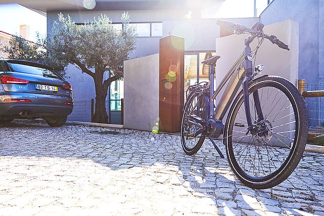 Gazelle cityzen e bike sales